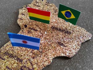 Флаги стран на Бразилии